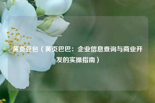 黄页豆包（黄页巴巴：企业信息查询与商业开发的实操指南）