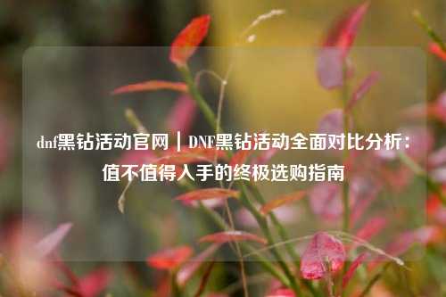 dnf黑钻活动官网｜DNF黑钻活动全面对比分析：值不值得入手的终极选购指南