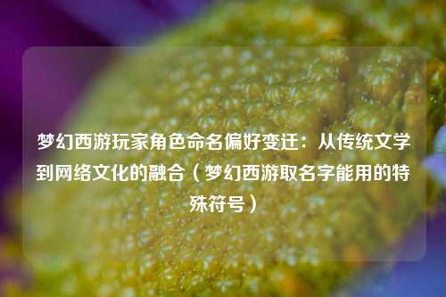 梦幻西游玩家角色命名偏好变迁：从传统文学到网络文化的融合（梦幻西游取名字能用的特殊符号）