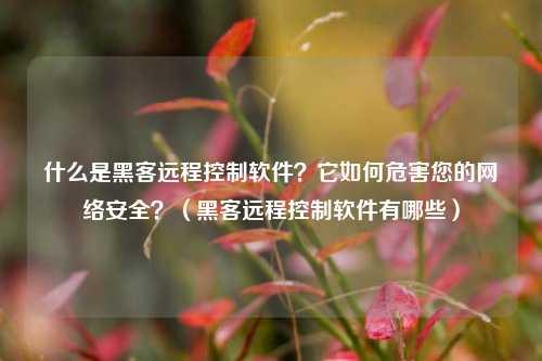 什么是黑客远程控制软件？它如何危害您的网络安全？（黑客远程控制软件有哪些）